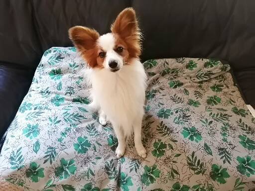 Ivan - ID: 28543 - 554532