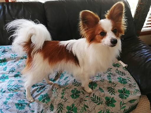Ivan - ID: 28543 - 554535