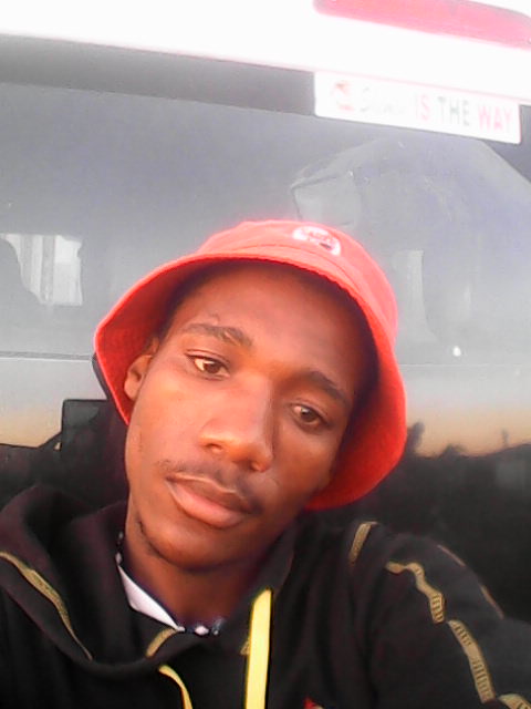 zulu - ID: 41442