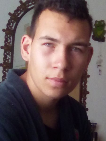Ilvo - ID: 75690 - 308319