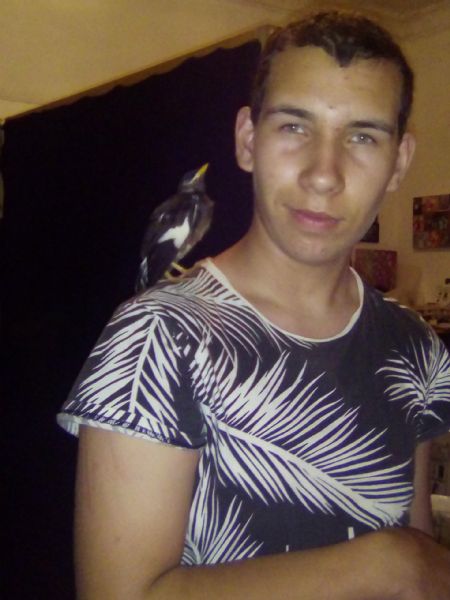 Ilvo - ID: 75690 - 308320