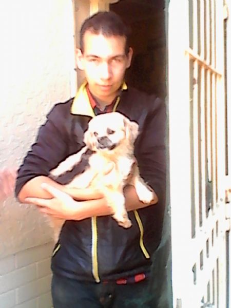 Ilvo - ID: 75690 - 308321